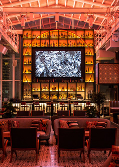Roof on the Wit reception area, interior lighting